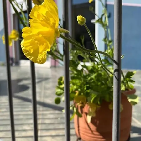 Lägenhet Vasiliki's House Amarynthos