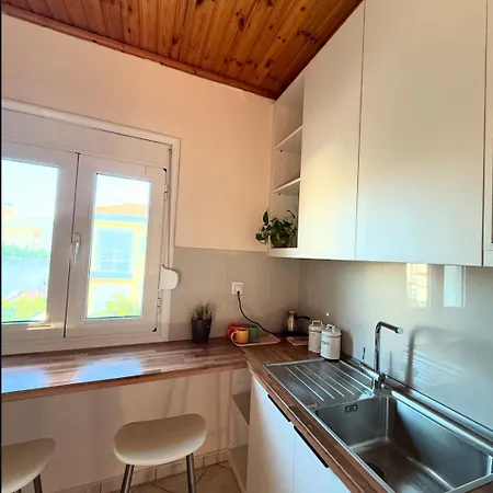 Vasiliki's House Appartamento *