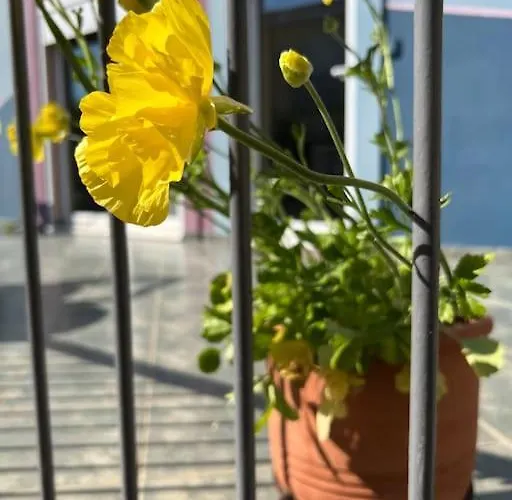 Apartamento Vasiliki's House Amarynthos